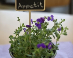 20260324 091404 MEDIUM